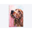 « irish setter », impression sur toile-32499104-72126152-72126153