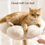 Tour pour arbre à chat Modern Natural-1589674966