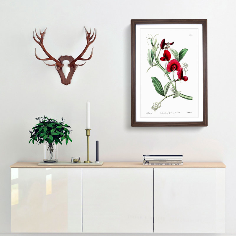 Red Tangier Pea Flowers - Framed Print, 36cm H x 27cm W x 2cm D, Walnut Framed