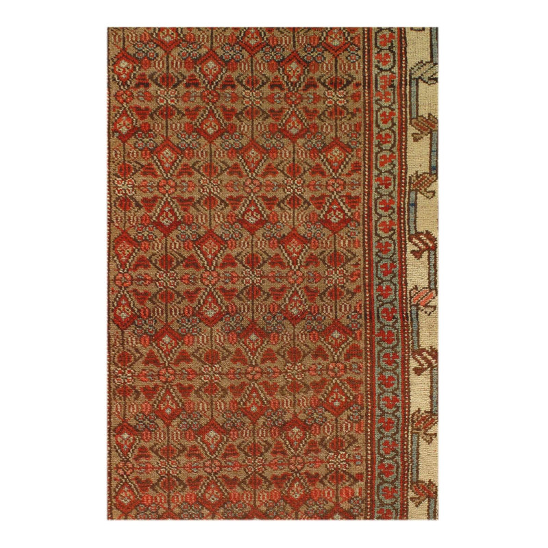Oriental Area Rug