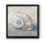 Blue Shell Study III-impression de cadre photo sur papier-145096517-145096524
