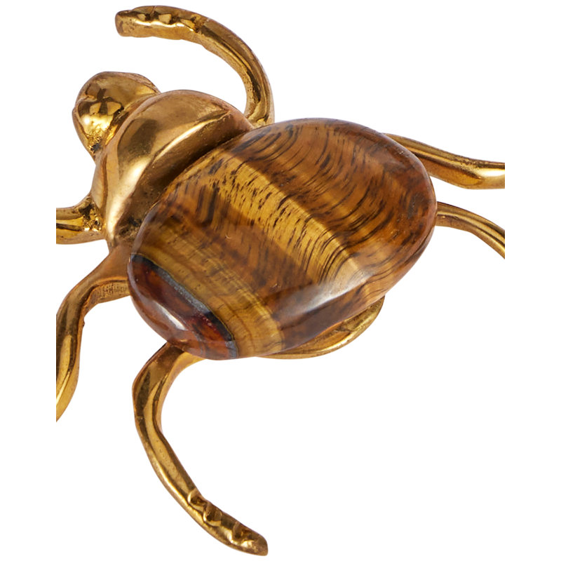 Brass Beetle Colony