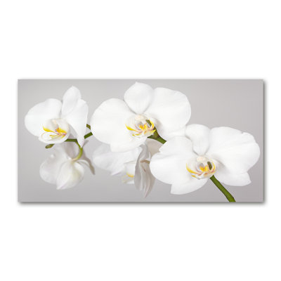 Orchid - Print