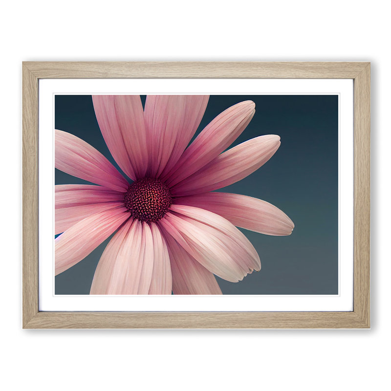 Cute Daisy Flower - Framed Print, 46cm H x 64cm W x 2cm D, Oak