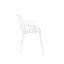 Fauteuil Albert Kuip-49366320