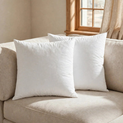 Insert de coussin décoratif décoratif en duvet de plumes avec housse en coton (ensemble de 2)