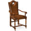 Country Farmhouse Leather Arm Chair