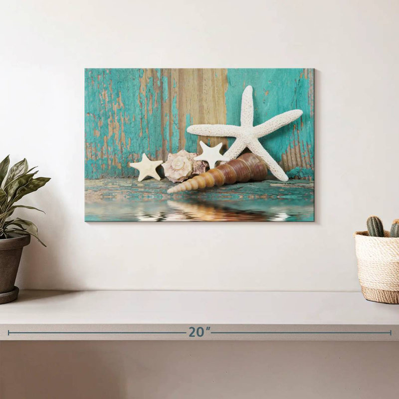 Aletra Seashell Treasures