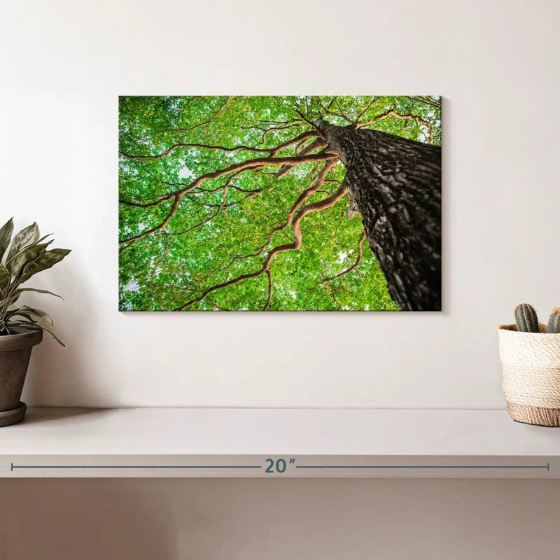 Harnek Tree Branches