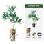 66 plantes-97700202