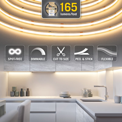 Ruban de ruban à DEL blanc RibbonFlex Pro 24V 4000K, 165 lumens / pi, 10M