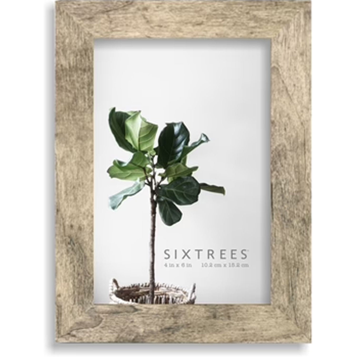 Sixtrees USA Ltd. Lawrence Wood Picture Frame Multiple Colors | Wayfair