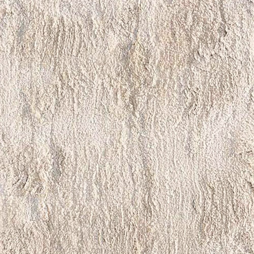 Délice Silk Area Rug in Mastic, Rectangle 8'2" x 11'6"