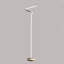 Lampe de plancher 52 po en forme de tube courbé en S 52