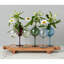 Normandy Wood Riser Footed Tray, Large