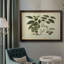 Delicate Botanical III " Delicate Botanical III "-1133998331