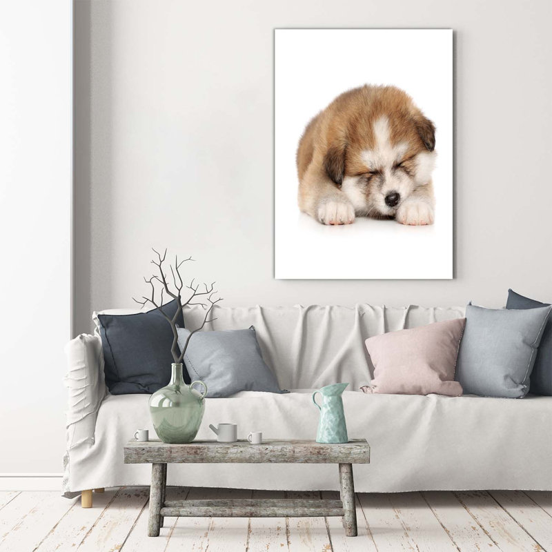Akita Puppy - Wrapped Canvas Print