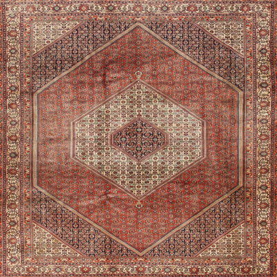 Oriental Indoor Rug