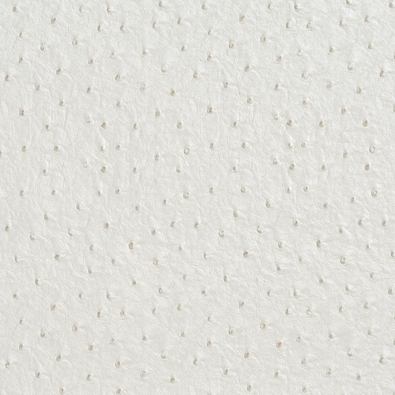 Autruche, Blanc