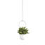 Jardinière suspendue 3 pièces Triflora-42319374