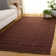 Auckland Hand-Woven Flatweave Jute/Sisal Brown/Rust Area Rug
