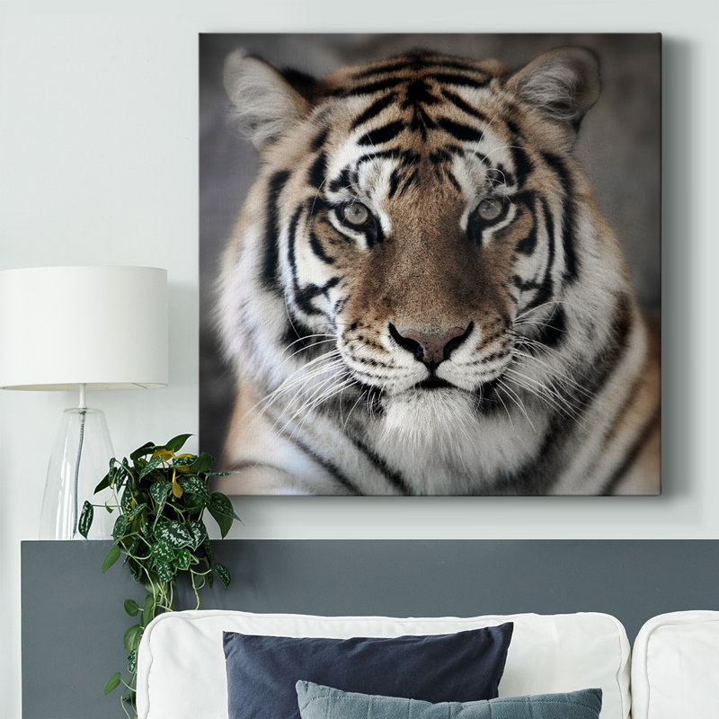" Intimate Tiger ", 8" H x 8" W x 1.5" D