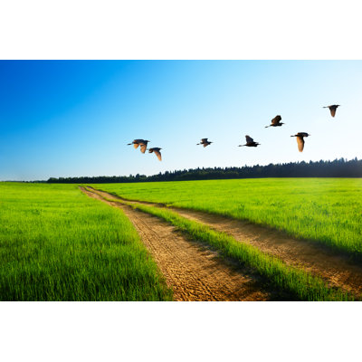 Roulers Birds And Road - Wrapped Canvas Print