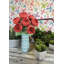 Buisson de roses en pleine floraison-643852596