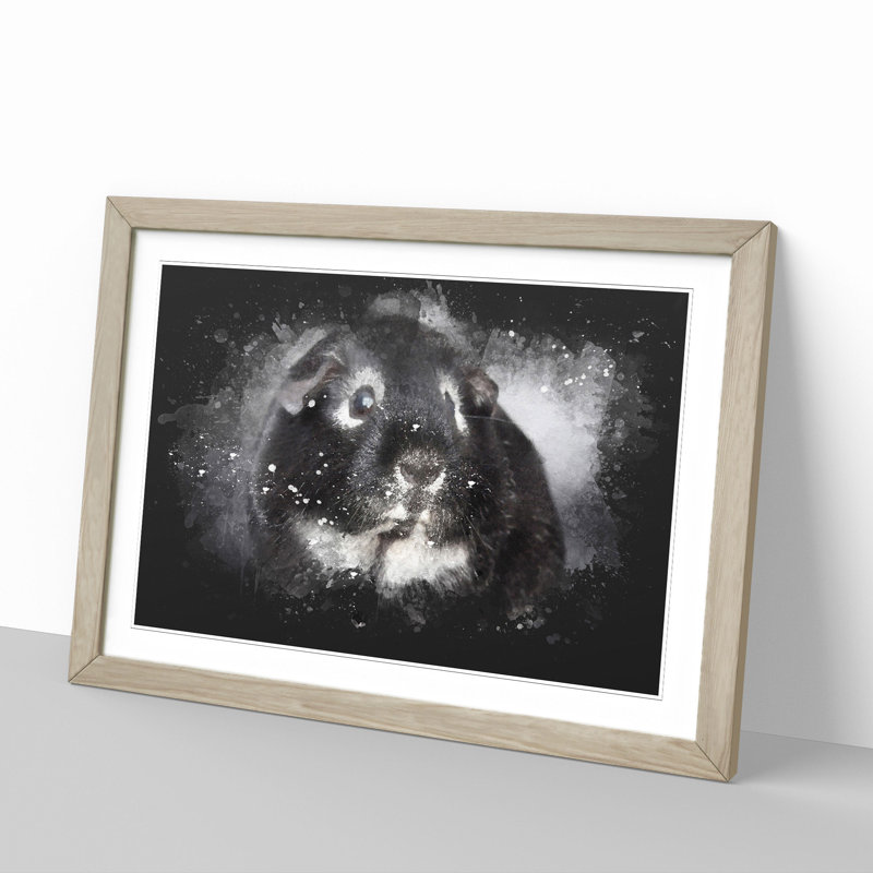 Guinea Pig - Picture Frame Graphic Art, 36cm H x 48cm W x 2cm D, Oak Framed