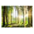 Green selected