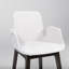 Infinity Modern Upholstered Arm Chair