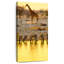 Animaux Etosha Park Safari-405236028