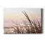 Cape Dune Morning - photographie sur toile tendue-1522405742