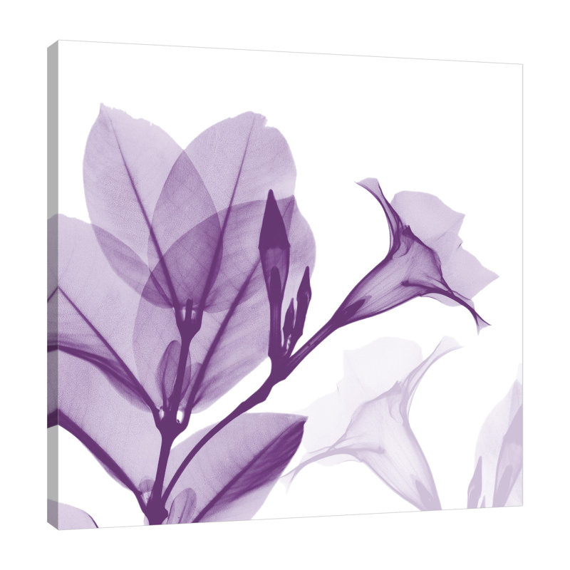 Lavendar Mandelilla - Wrapped Canvas Print, 30 cm H x 30 cm W