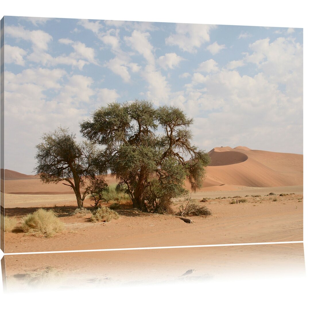 Leinwandbild Bäume in Wüstenlandschaft