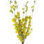 Artificial Arrangement-106401583