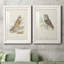 Hawk Owl Premium encadré mat - prêt à être accroché-1071751108-1071751111