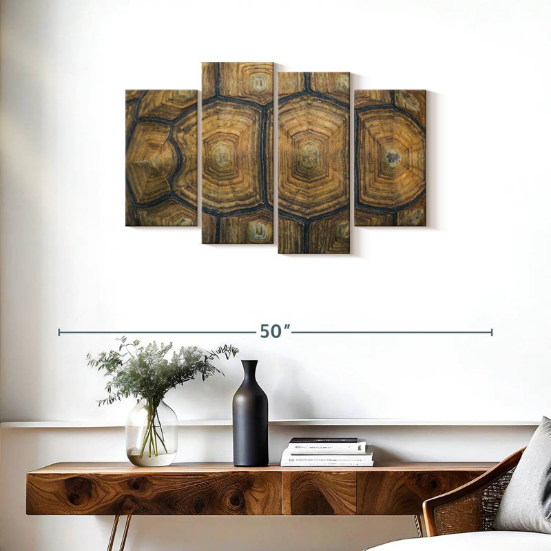 Brampt Giant Tortoise Shell, 22" H x 36" W