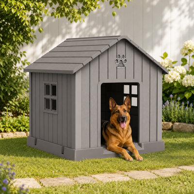 Dog House