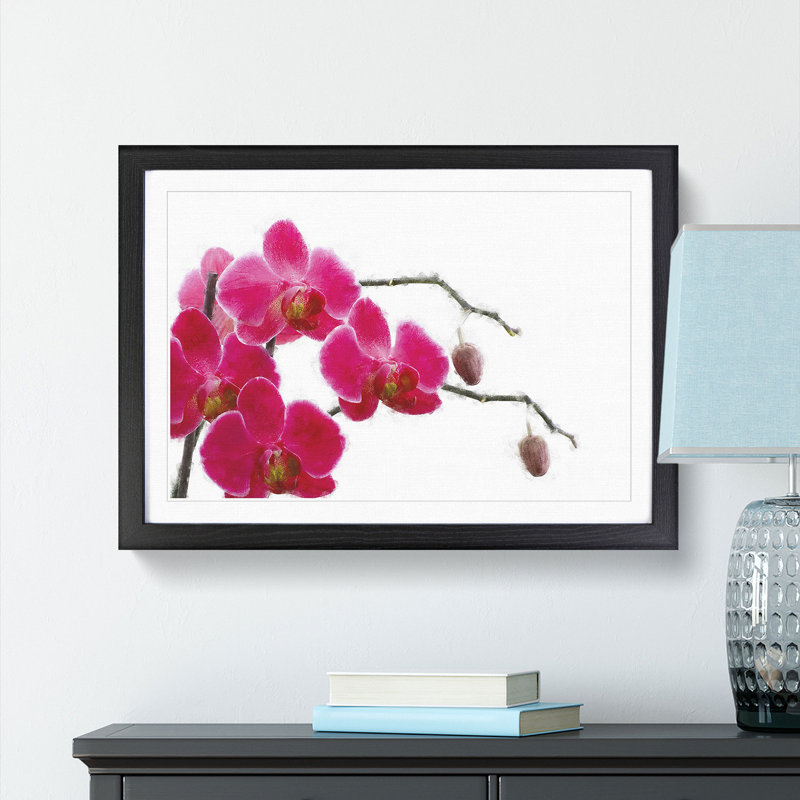 Hot Pink Orchids - Picture Frame Painting Print, 24cm H x 33cm W x 2cm D, Black Framed