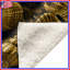 Couvertures Golden Seashells Illustration-127682388