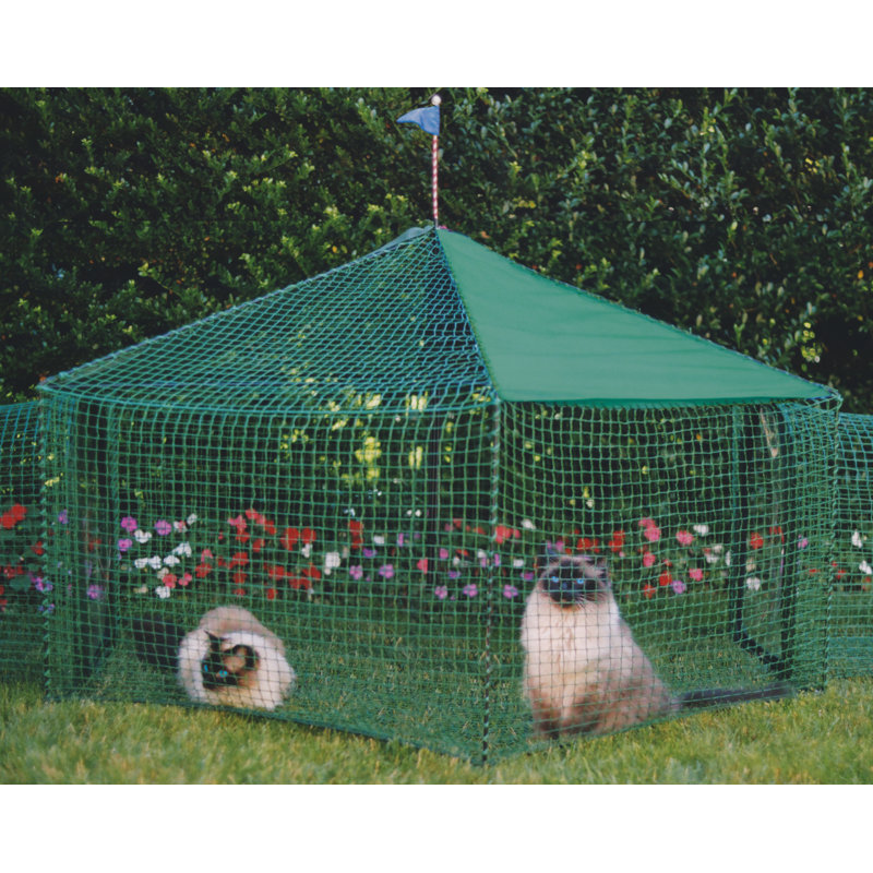 Portable Cat Playpen