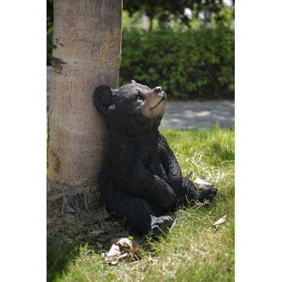 Sitting Black Bear Cub With Head Up