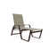 Holna Outdoor Rust-Resistant Metal Chaise Lounge