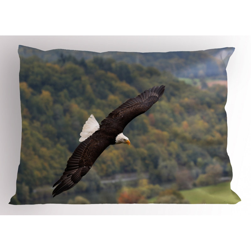 Eagle Polyester Sham Set, King