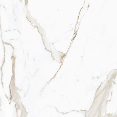 Carreau de mur et de sol en porcelaine beige 12 x 12 Regalia (13,56 pieds carrés / caisse) - paquet de 14