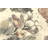 Trost Floral Indoor Rug-577050787