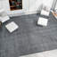 Hand Knotted Area Rug in Charcoal And Gray-823697766