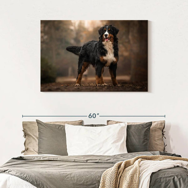 Brampt Bernese Mountain Dog, 30" H x 45" W