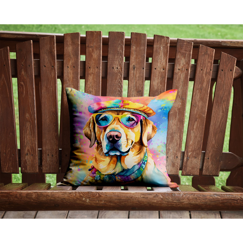 Other/No Pattern Outdoor Throw Pillow